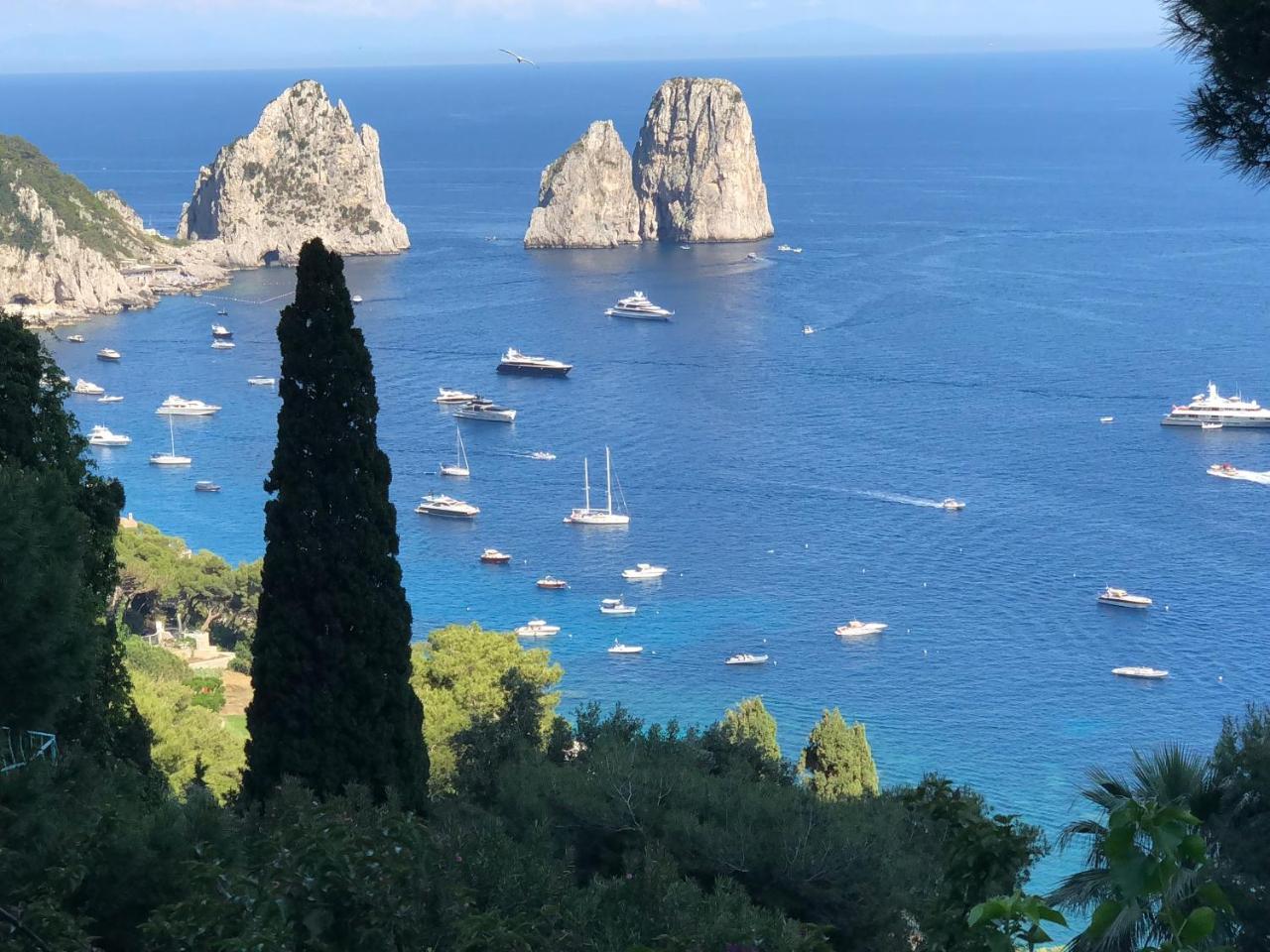 Villa Olga Luxury Capri Exterior photo